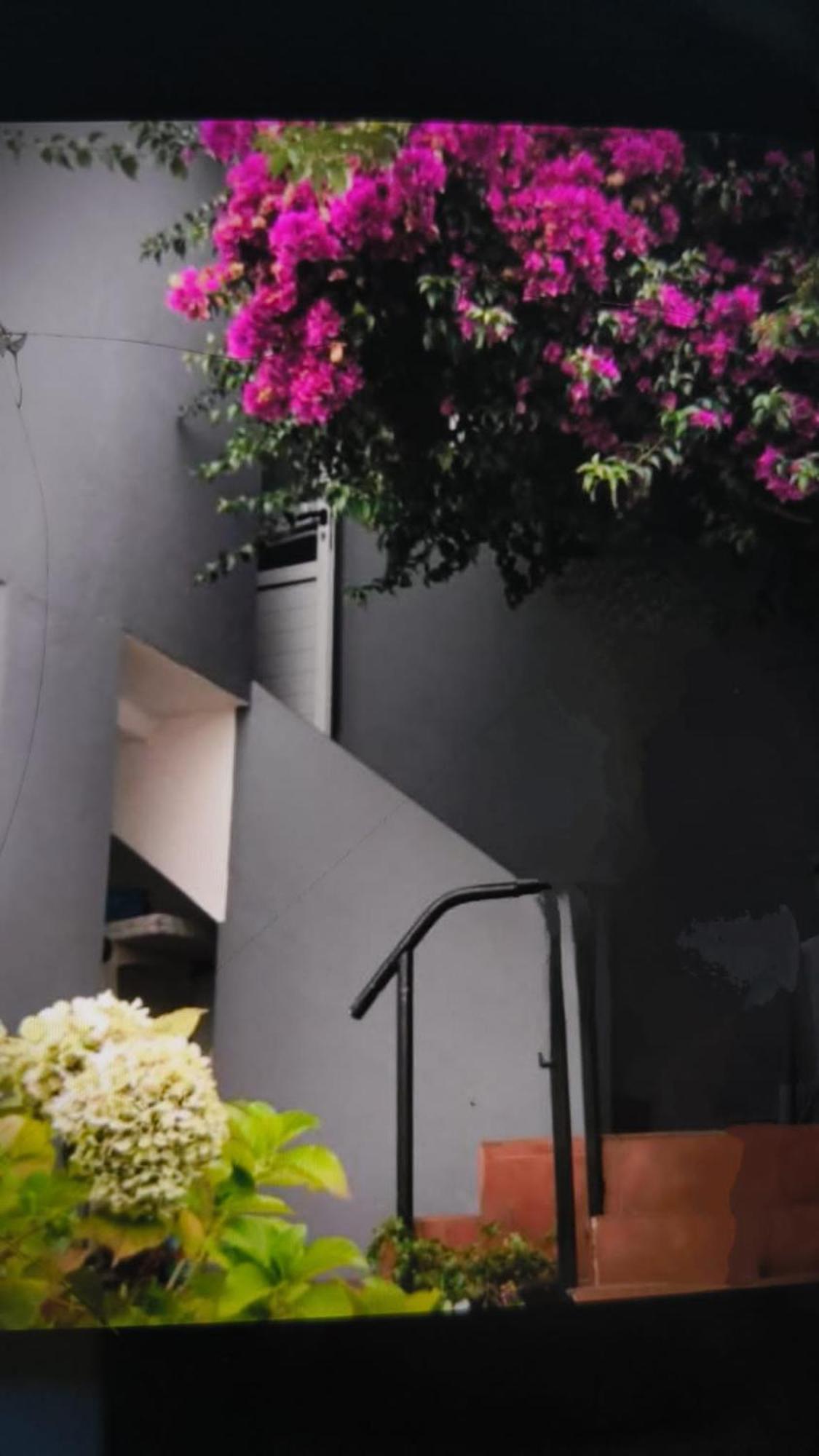 Palmeira Casa Boa Vistaヴィラ エクステリア 写真